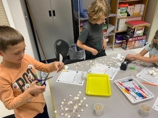 In Mrs. Wyman and Mrs. Parker's STEAM after school class, student's had the challenge of building a home for the three little pigs using only marshmallows and toothpicks.  The house had to be strong enough to not be blown over by the big, bad wolf ( a hair dryer).  Everyone met the challenge!