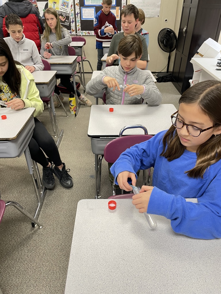 Our Gold Camp 6th grade Cougars collected their own DNA in a lab today so they can see what their DNA looks like! This lab is part of a unit on Adaptation. 