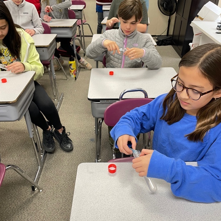 GCE 6th grade students complete a lab where they collect their own cheek cells to see their own DNA. 